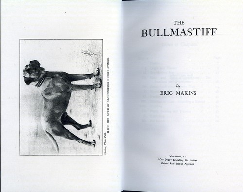 Bullmastiffs bullmastiff - bullmastiffs,