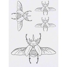 4 x 'Atlas Beetle Flying'