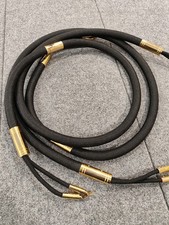 Ayon Audio Dragon Heart Series