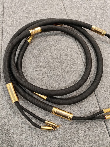 Ayon audio dragon heart - dragon,