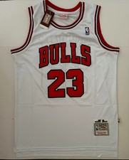 Chicago Bulls NBA Hardwood