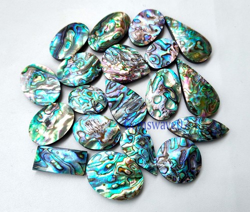 Natural abalone shell - shell, cabochon