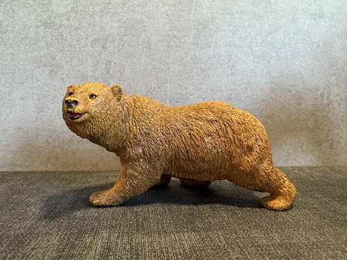 Aaa elc brown bear wildlife - aaa,