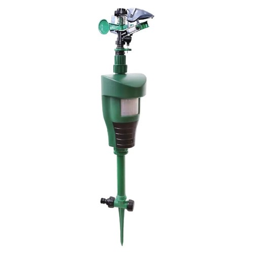 Motion sprinkler animal - motion,
