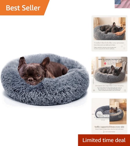Cozy orthopedic dog - cozy, bed