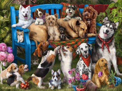 Vermont christmas company dogs - vermont,