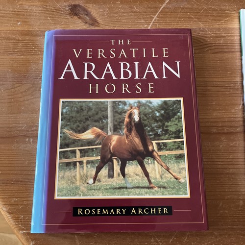 Versatile arabian horse - versatile, by