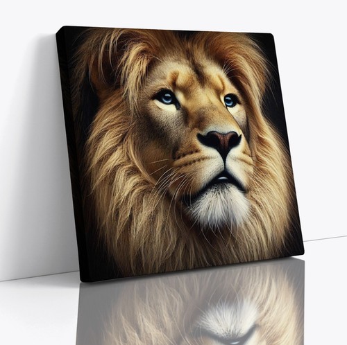 Lion big cat majestic - big,