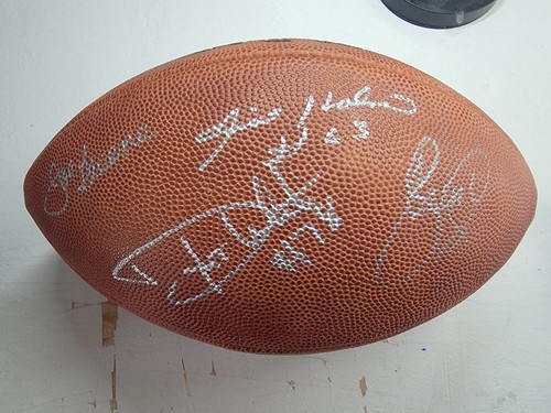 Pittsburgh steelers steel - pittsburgh,