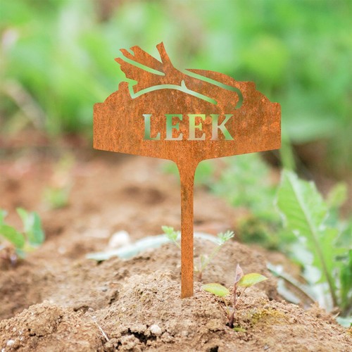 Rustic leek vegetable - rustic,