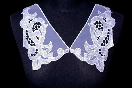 Embroidered organza lace - embroidered,