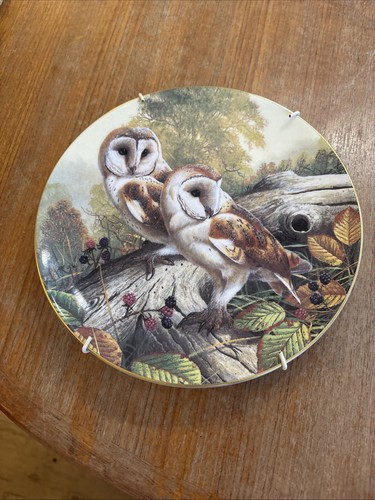 Royal doulton plate barn - plate, owls