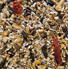 Tropical parrot food - tropical,