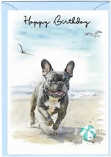 French bulldog frenchie 4 - /, (4"x