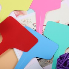 (6 Colors / Package) Plant