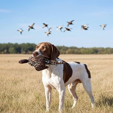 Gun Dog The Original