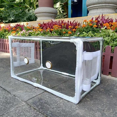 Mushroom growing tent - growing, bag