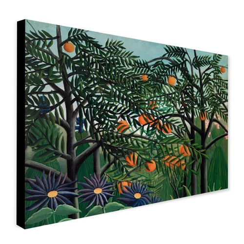 Exotic forest henri - exotic,