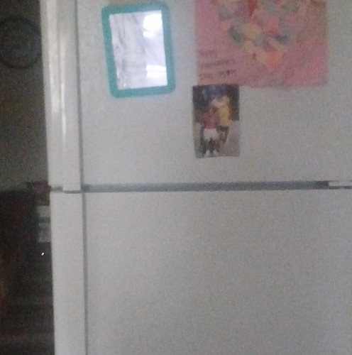 Top freezer door - top-freezer, 2-door