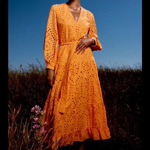 Zara embroidery openwork midi - embroidery,