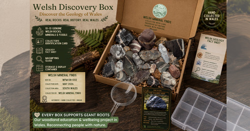 Welsh geology discovery - box, |