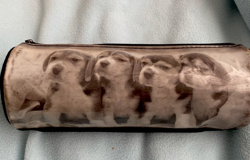 Four puppies zipped pencil - puppies,