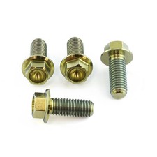 Titanium Pillion Footrest