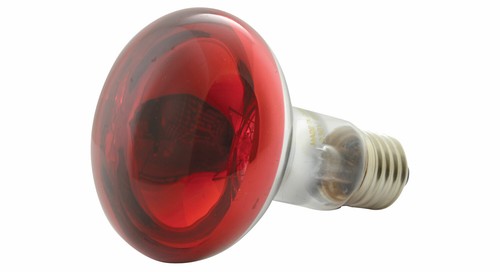 60w r80 coloured reflector - 60w,