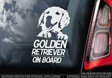 Golden Retriever - Car Window