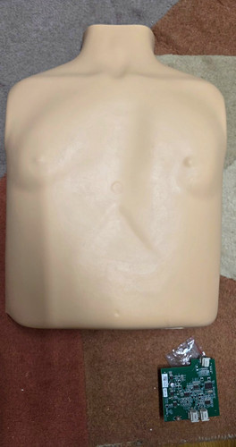 Little anne aed - anne®,