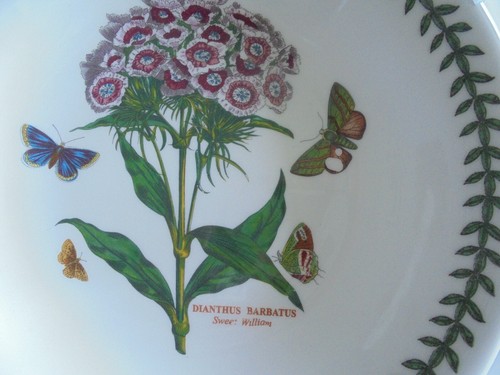 Portmeirion botanic garden - portmeirion,