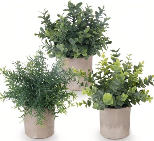 Set artificial plants in - set,