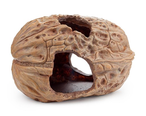 Aquarium terrarium walnut - terrarium,