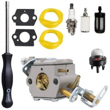 Carburetor W/Gaskets Fits
