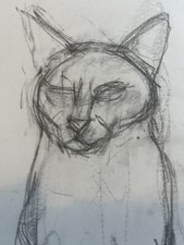 Modern British sch - A fine sketch of a cat - manner of / after Joan Eardley