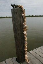 (1) Driftwood Seashell Garland