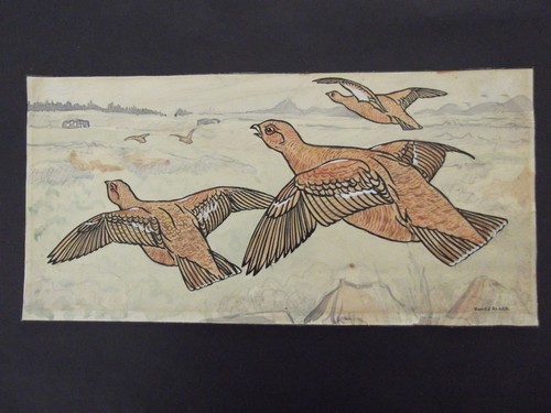 Grouse flight handtinted - in,