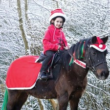 Equetech Santa Festive Christmas Horse / Pony Quarter Sheet - 2 sizes