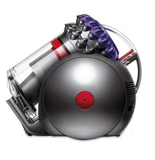 Dyson Big Ball Animal 2