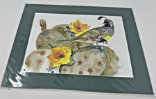 June Jurcak GAMBEL QUAIL ON PRICKLY PEAR CACTUS WITH BLOOMS 11x14 Matted Print