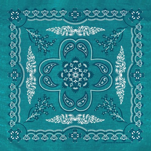 Carolina creative bandanna - carolina,