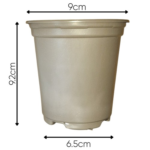 Small plastic plant pots 9cm - plant,