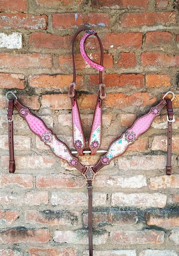 Premium horse show - premium, saddle