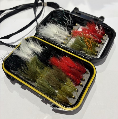 Gold head stillwater trout - head,