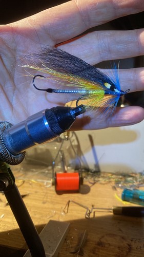 Fly fishing sea trout sewin - fly,
