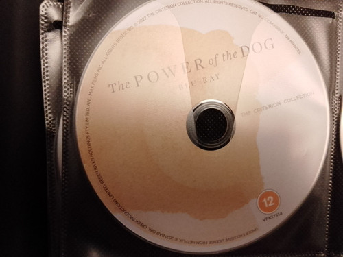 The power dog - dog,