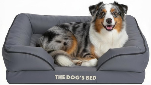 The dog bed orthopaedic - the,