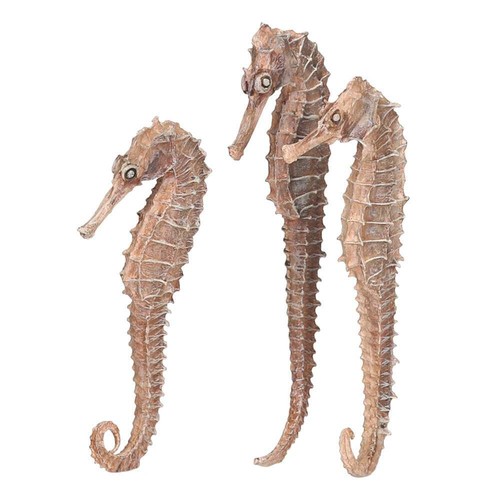 Seahorse set natural - set,