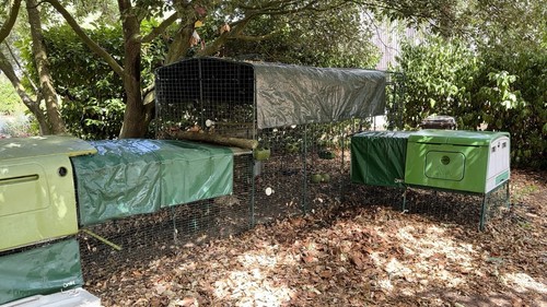Omlet plastic chicken coop - 2, x