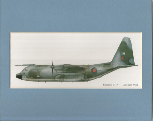 Aviation art mounted print - art,
